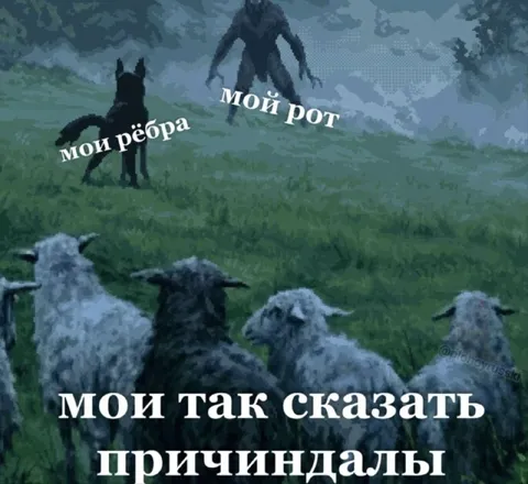 Мои причиндалы так сказать