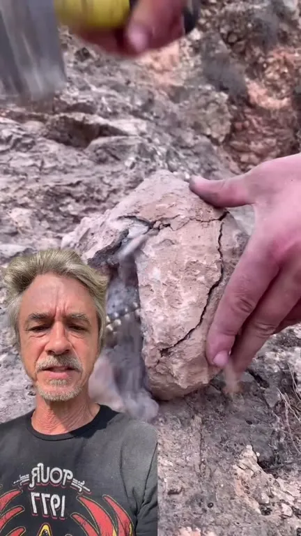 Lucky Rock Reveals Gold Teeth