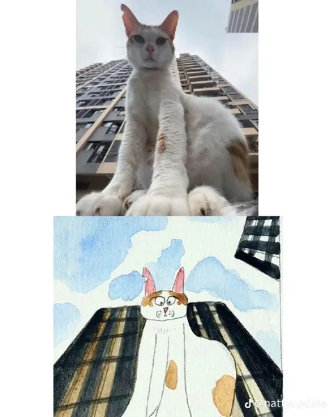 Кот среди небоскрёбов