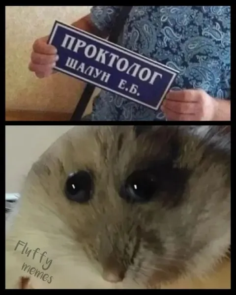 Проктолог шалун Е. Б.