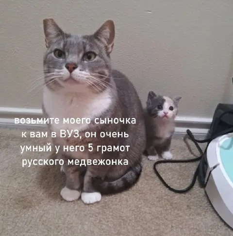 Возьмите моего сыночка в ВУЗ