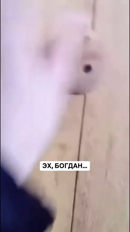 Эх, Богдан, держись