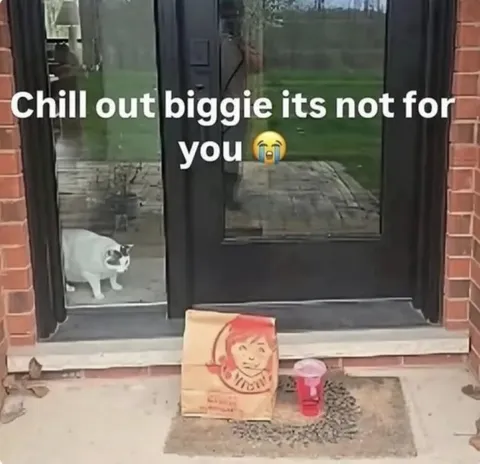 Chill Out Biggie
