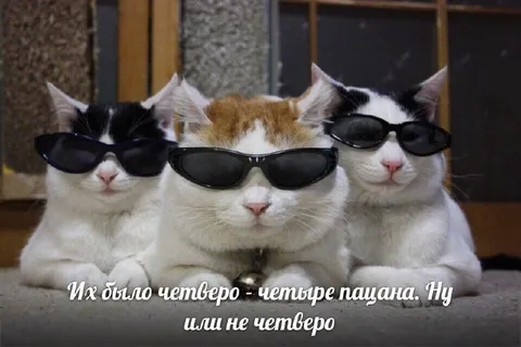 Четыре пацана в очках
