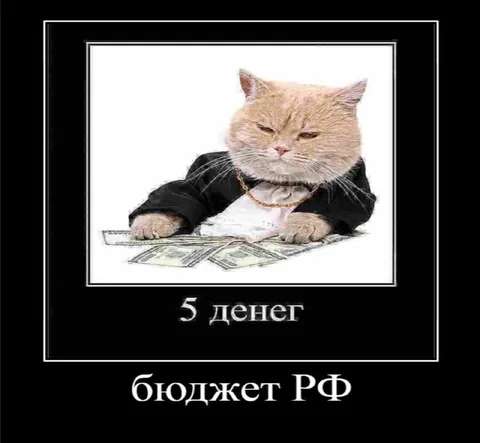 Бюджет РФ — 5 денег