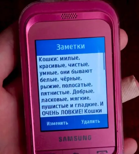 Кошки очень ловкие