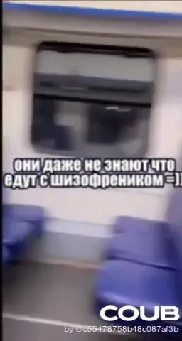 Едут с шизофреником в метро