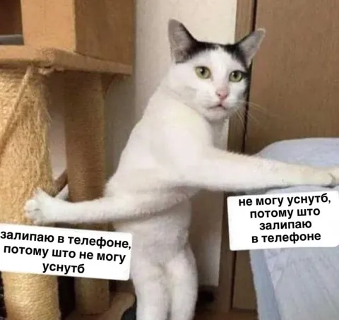 Не могу уснуть из-за телефона