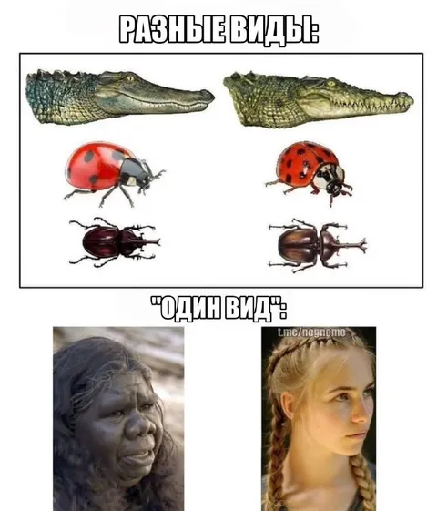Разные виды, один вид
