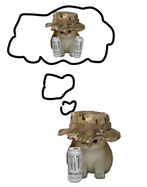 Cat Thinking About Energy Drinks