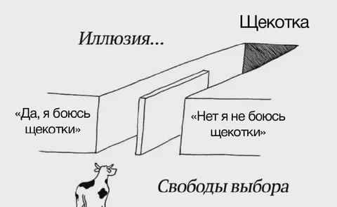 Иллюзия свободы выбора