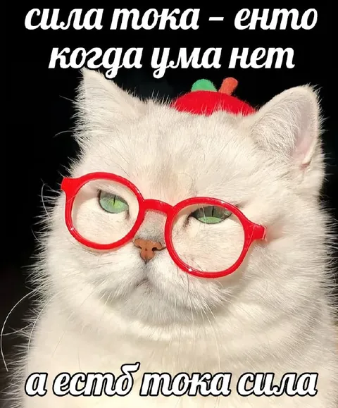Сила тока и отсутствие ума