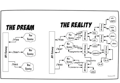 The Dream vs. The Reality