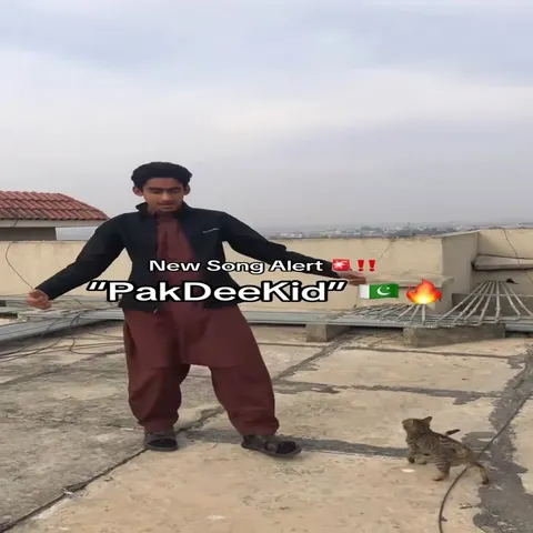 PakDeeKid Cat Dance Rap