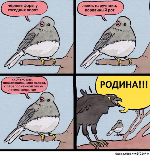 Родина зовёт воробья