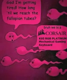 Sperm Reaches the Gaming Keyboard