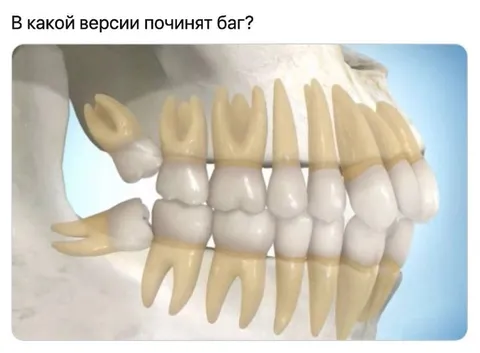 В какой версии починят баг?