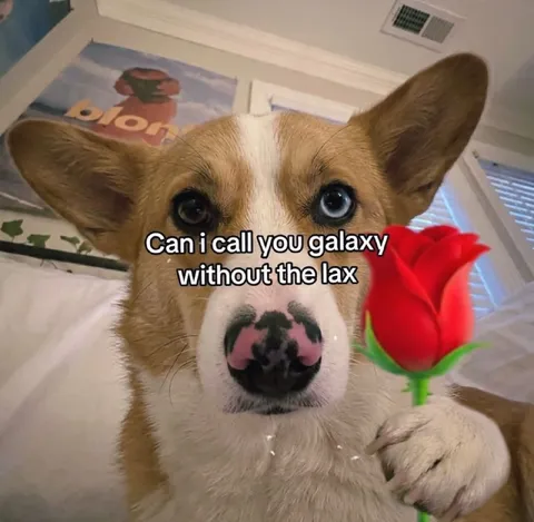 Galaxy Without the Lax