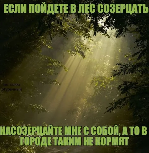 Лесное созерцание и голод