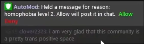AutoMod Allows Homophobia
