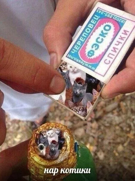 Котики вместо спичек