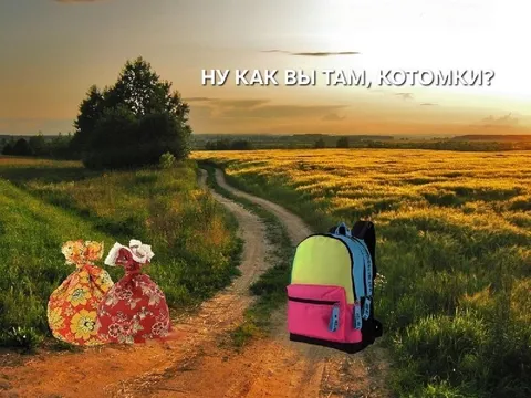 Ну как вы там, котомки?