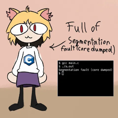 Full of Segmentation Fault