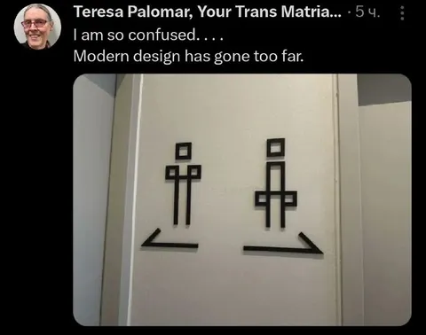 Modern Restroom Design Confusion