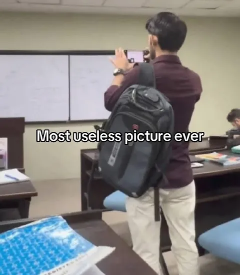 Most Useless Picture Ever