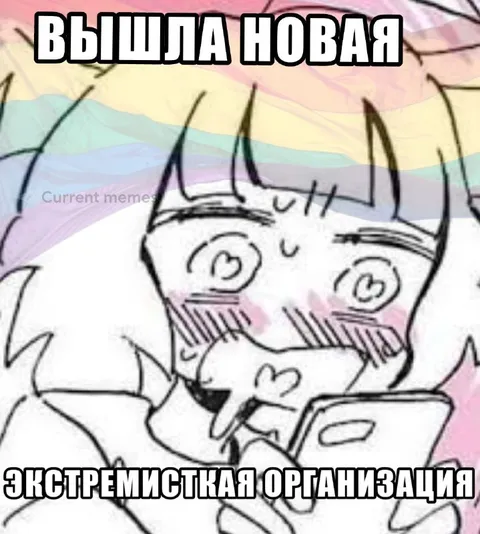 Вышла новая экстремистская организация