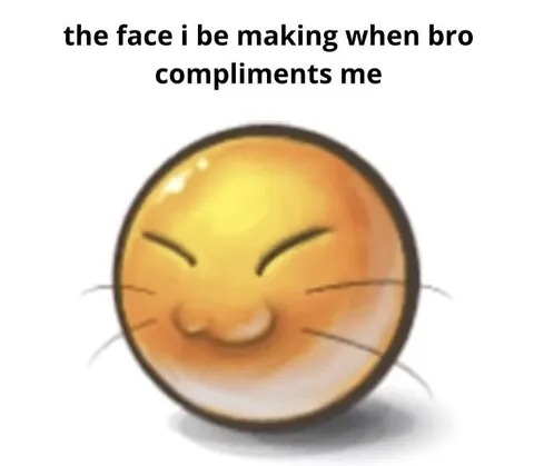 Face When Bro Compliments Me