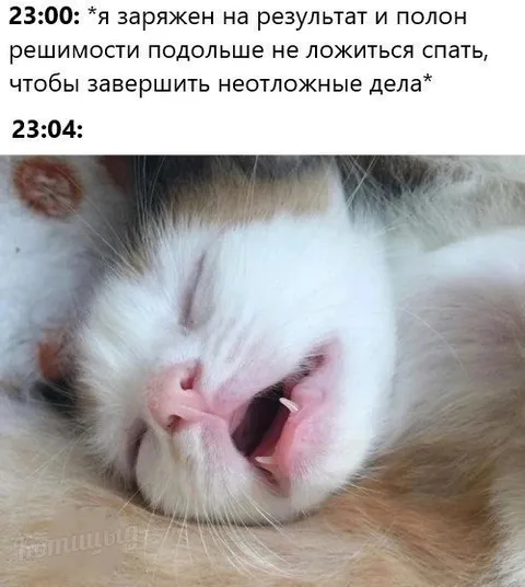 Решимость закончить дела в 23:04