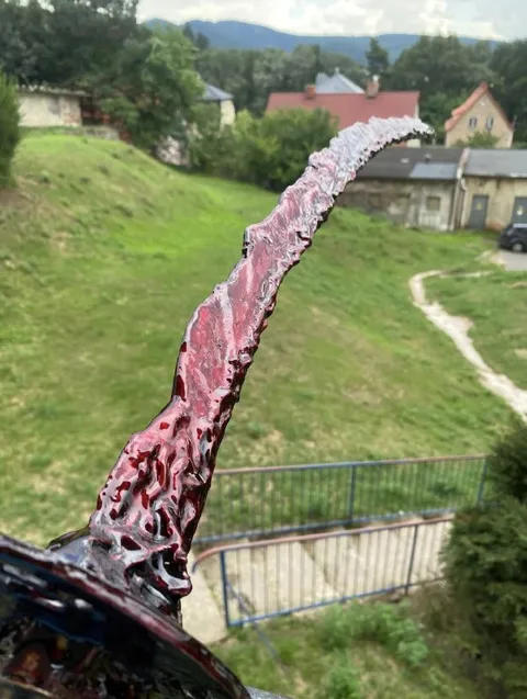 Кровавая щупальца во дворе