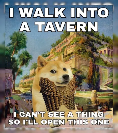 Doge Walks Into a Tavern