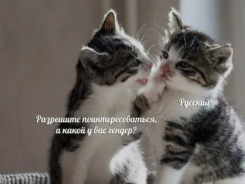 А какой у Вас гендер?
