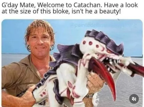 Welcome to Catchan