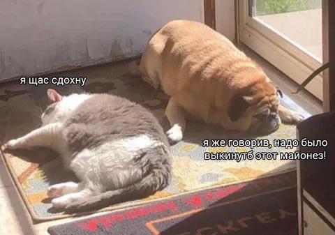 Майонез довёл до смерти