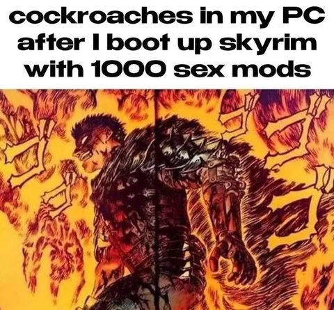 Skyrim After Installing Sex Mods