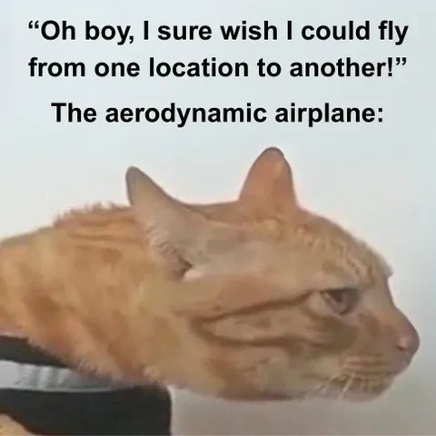 Aerodynamic Cat Wants to Fly
