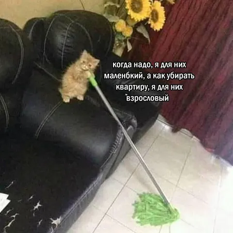 Маленький для игр, взрослый для уборки