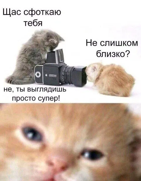Сфоткаю тебя поближе