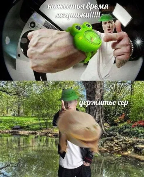 Кажется, время лягушки