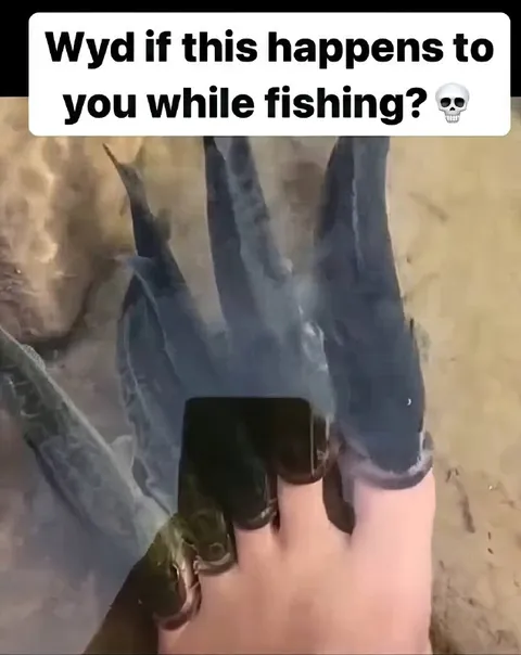 Fish Bite While Fishing