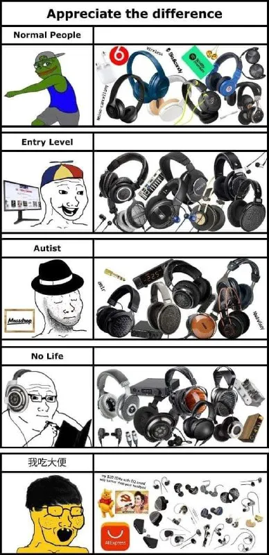 Appreciate the Difference Headphone Tiers
