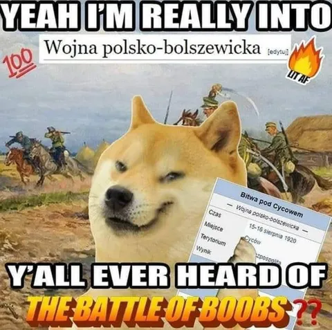 Doge Discovers the Battle of Boobs
