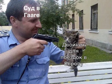 Суд в Гааге и двойник кота