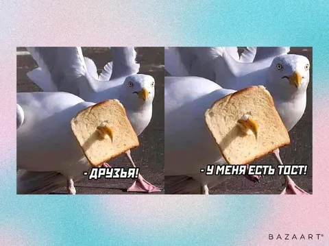 У меня есть тост