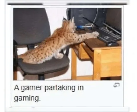 A Gamer Partaking in Gaming