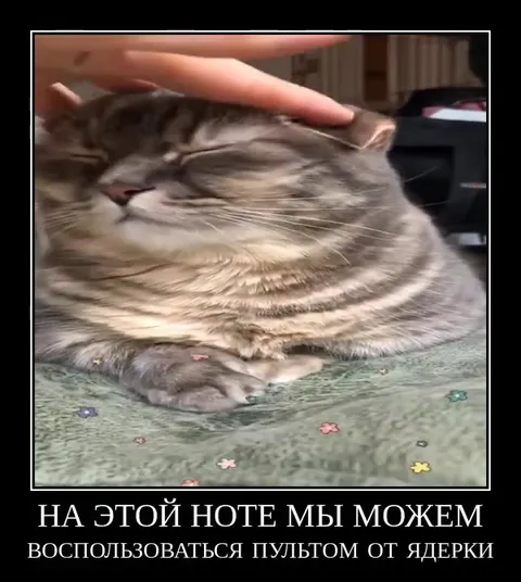 Кот и пульт от ядерки