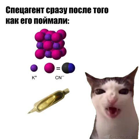 Спецагент съедает капсулу цианида